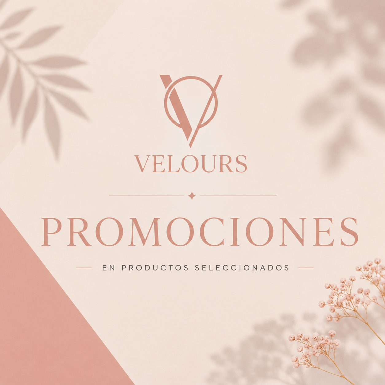 PROMOCIONES